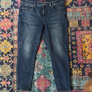 Lucky Brand Dark Blue Skinny Jeans